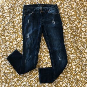 Arizona Distressed Favorite Skinny Jeans- 5